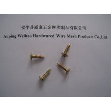 Headless self tapping screw